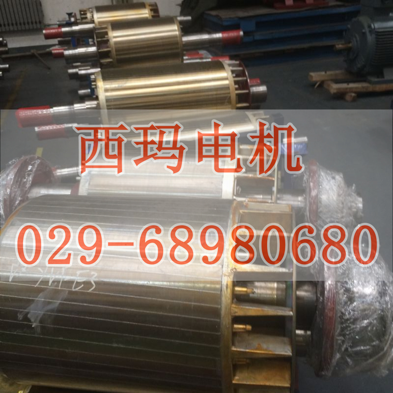 YGP250M1-6 25KW/IC410ȴʽƵֱ̩