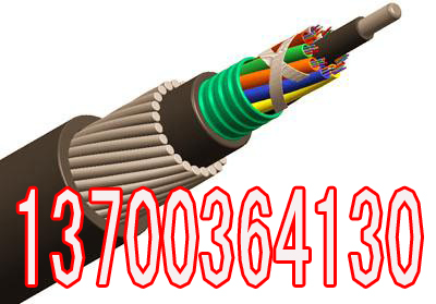 豸µDJFPVP30x2x2.5