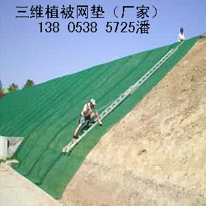 ϣά桶š138 0538 5725ӭ
