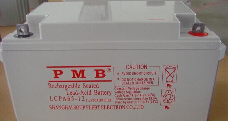 PMB12V65AHԭװֱֳLCPA65-12 UPS/EPS/ר