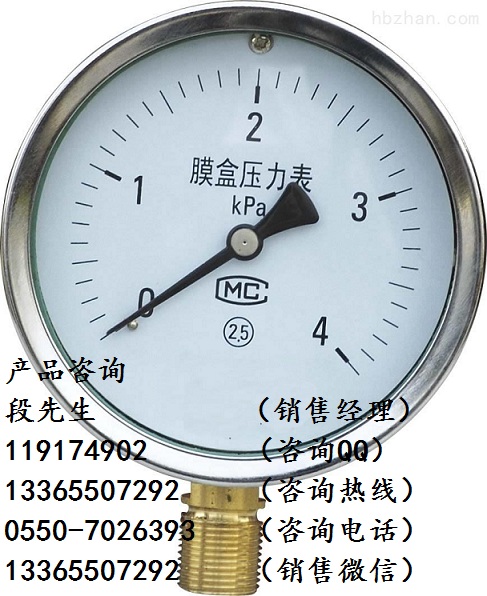 ѹY-100B/0-40MPa