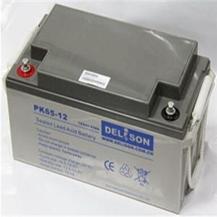 DELiSONPK200-12/12V200AH۸񳧼