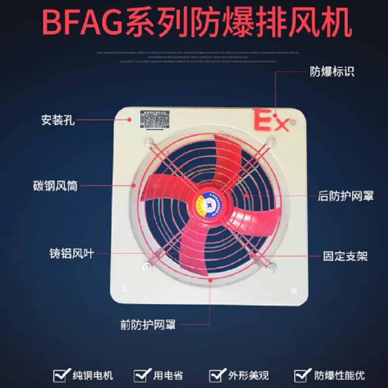 BFAG-300 EX DII BT4 GB AC220V 0.12KW Ҷ 