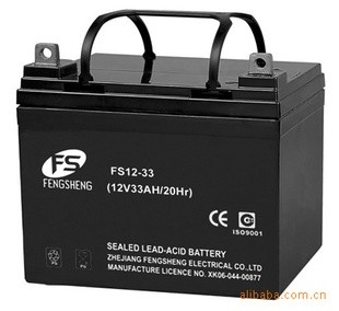 ʥFS12-38 12V38AH