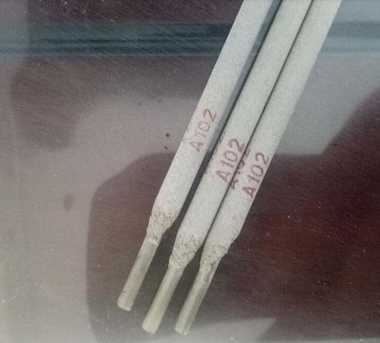 D516MAŶѺ ¿غ