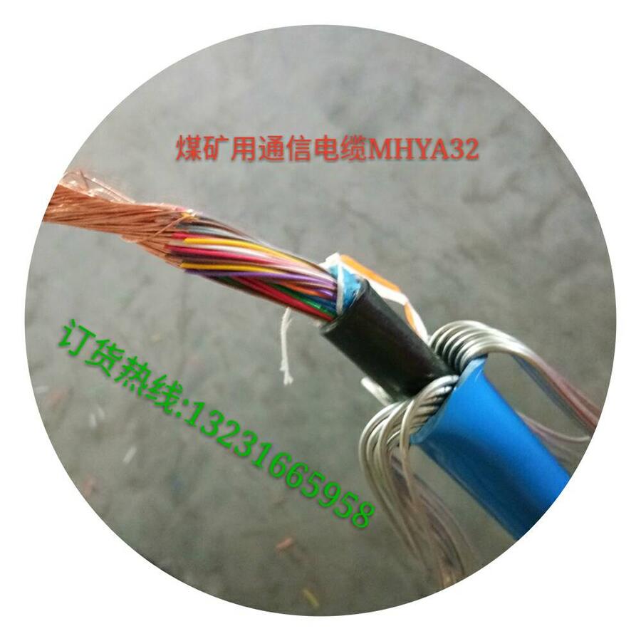 ZR-HYA53-100X2X0.5װͨŵ