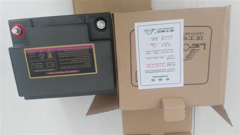 ʿ  DJM1238SֱUPS/EPSά12V38AH