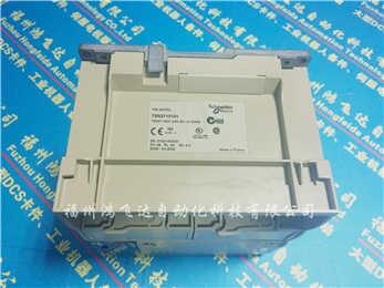 TSXDSY08T31Ӧӱ