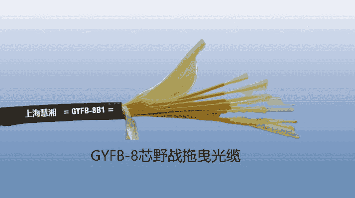 GYFBԹ³ֱ