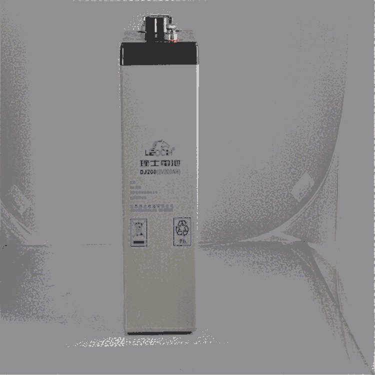 LEOCHʿ DJ600 ͨŻվupsԴ2V600AHά