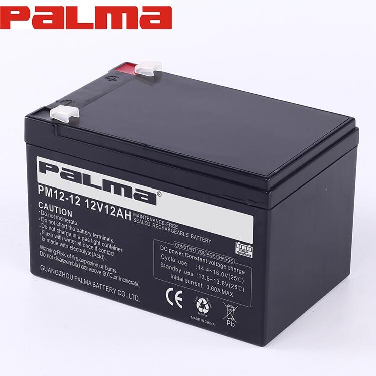 PALMAֱӪ12v12ah ̫άups