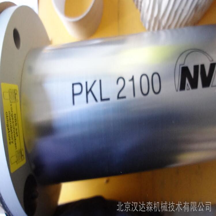 NetterVibrationPKL ϵ