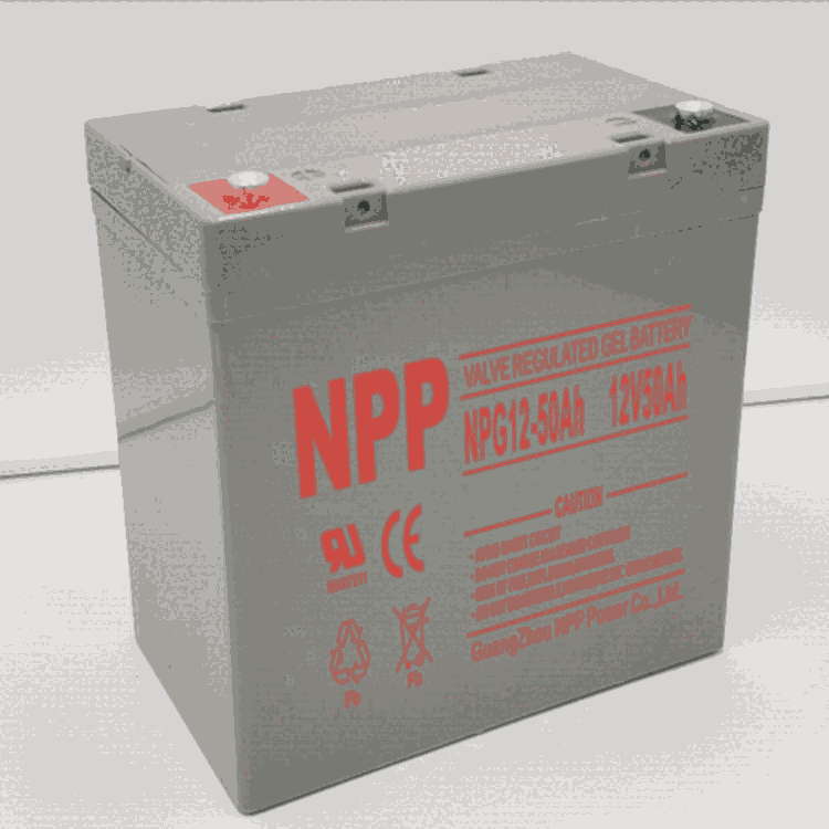 㶫NPP NP12V100AHʼ