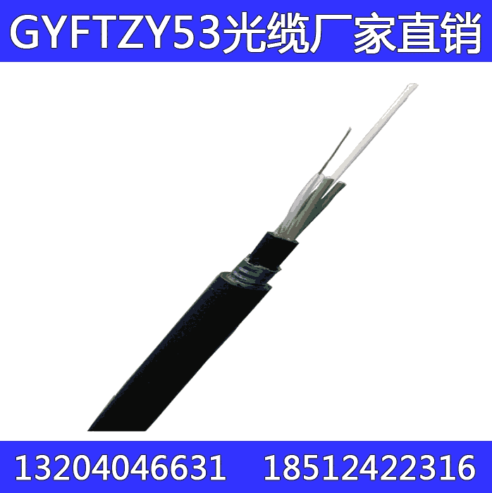 GYFTZY53-8A GYFTZY53 8оģ˫ȼȼ