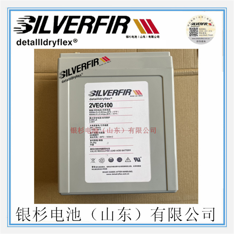 SILVERFIRɼ?2VEG100UPSֱԴ12V-100Ah