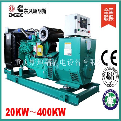 Ӧ翵˹ͷ20KW-400KW鱸õԴ