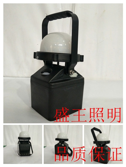PG71L-100W-240W-L100W/250WLED߶