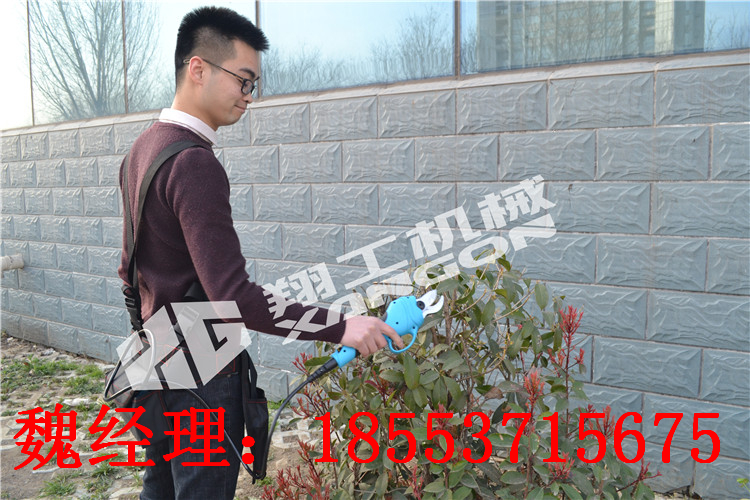 ƻ綯֦   ֦   ɽ֦
