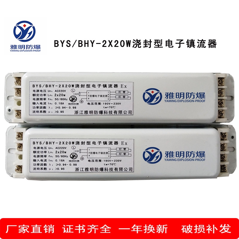 BYS/BHY-2*20w͵