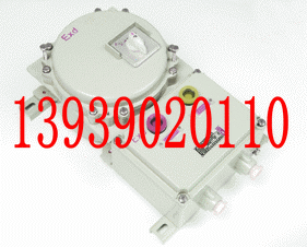 BQD53-40N防爆电磁起动器  BQD53-32N防爆电磁起动器