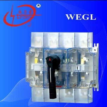 WEGL ͸ɸ뿪