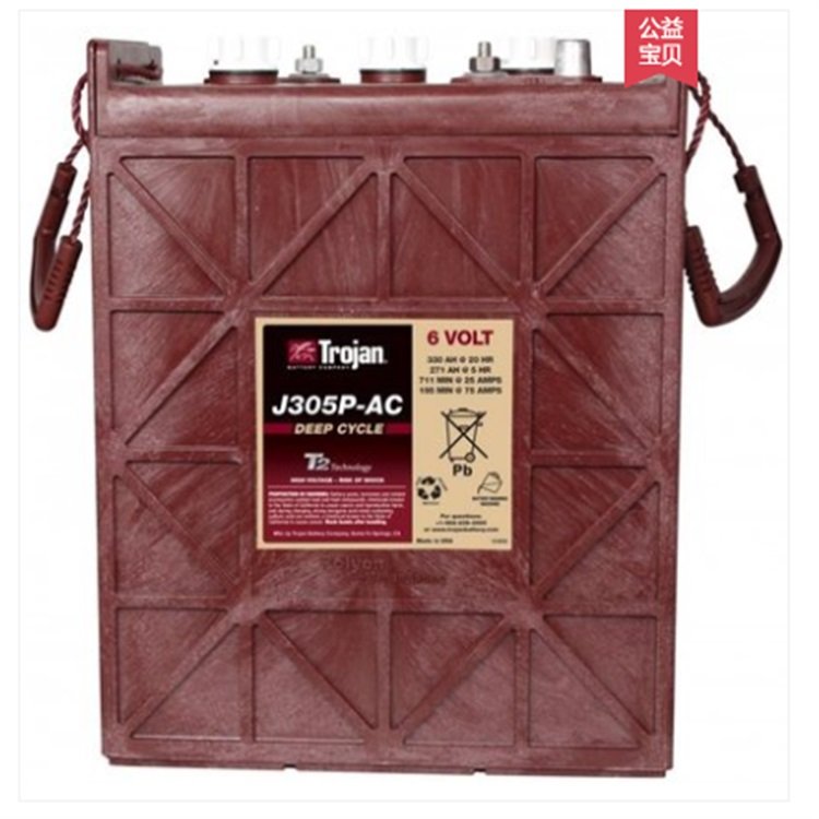 TrojanJ305PAC6V330AHϴ