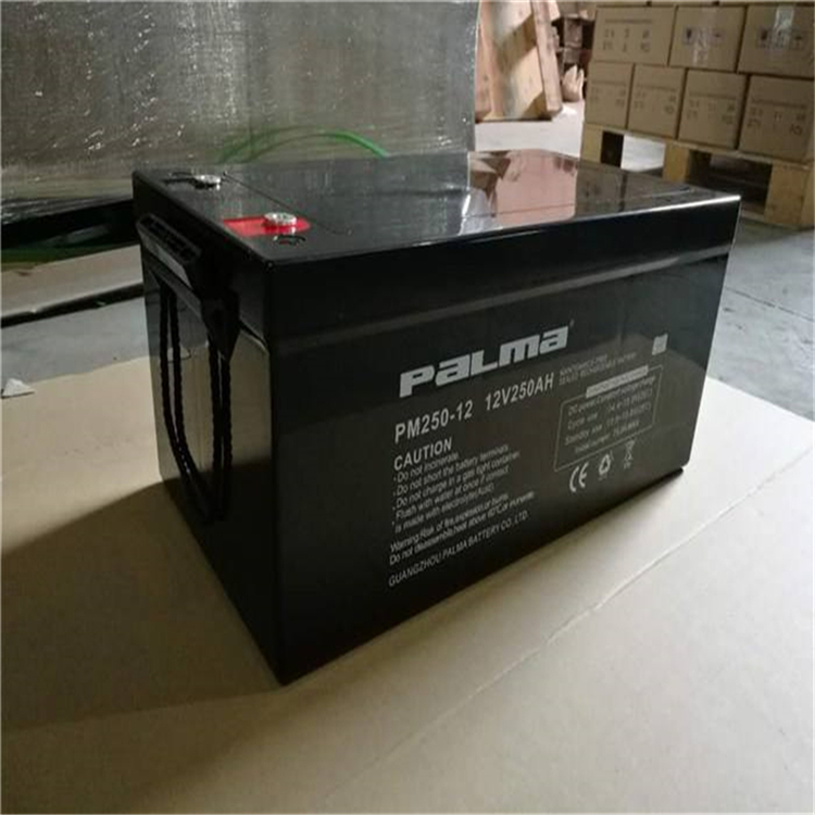 paLmaPM200-1212V200AHǦάUPSEPSԴ豸