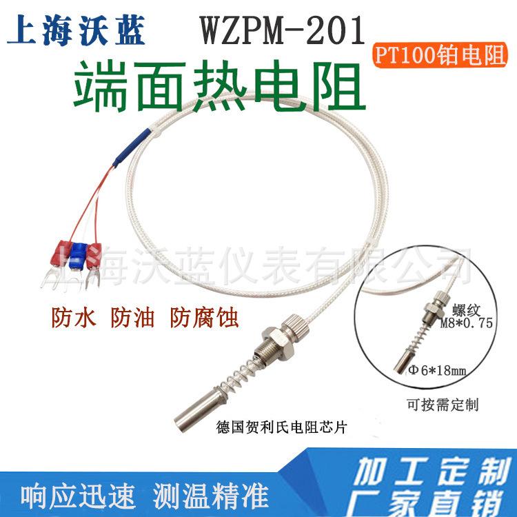 ȵWZPM-201߲̽ͷPT100¶ȴСȵż