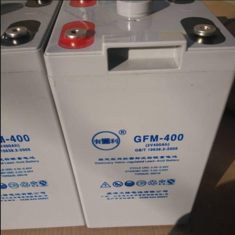 6-GFM-24ӦԴǦά12V24AH