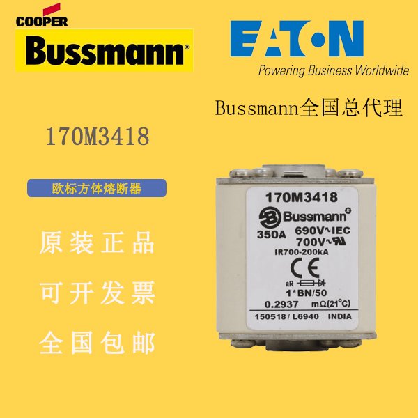 ˹BUSSMANN۶170M3418۶