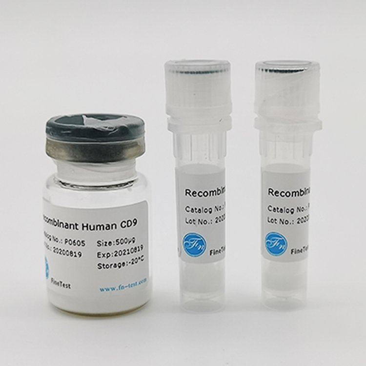 ԴG-CSF鵰(RecombinantHumanG-CSF)