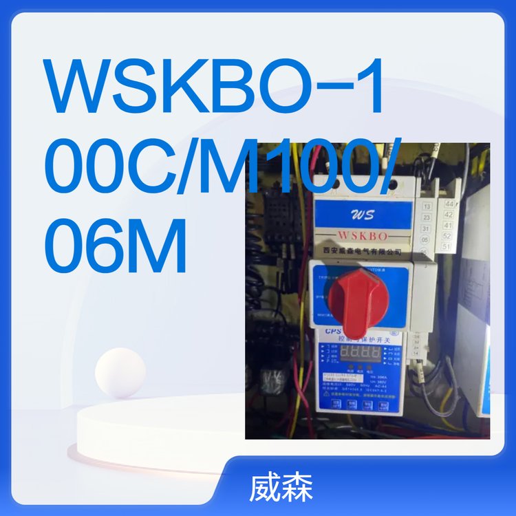 ɭ뱣WSKBO-100C\/M100\/06M