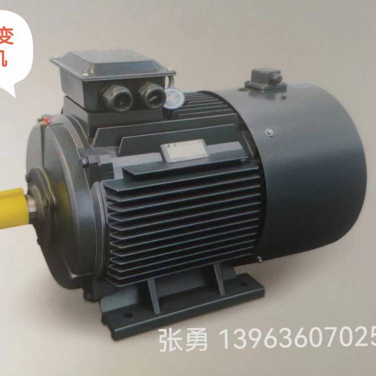 ˫ֱҵˮרõYVF2355L2-4-315KW-Ԫ