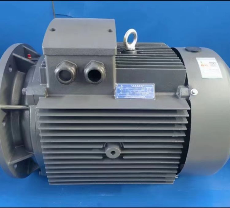 첽綯YE3-200L1-6-18.5KW380V50HZЧܵ綯