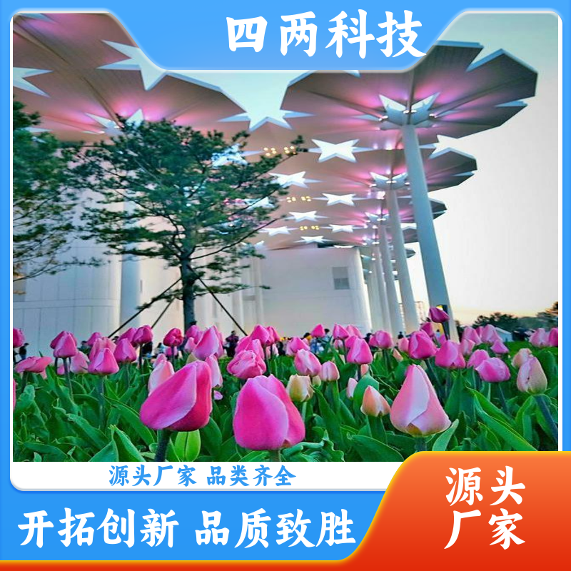 ֲ԰ʩ̫ȫƷ