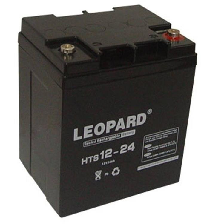 LEOPARDHTS12-24ޱǦ12V24AHUPSԴ