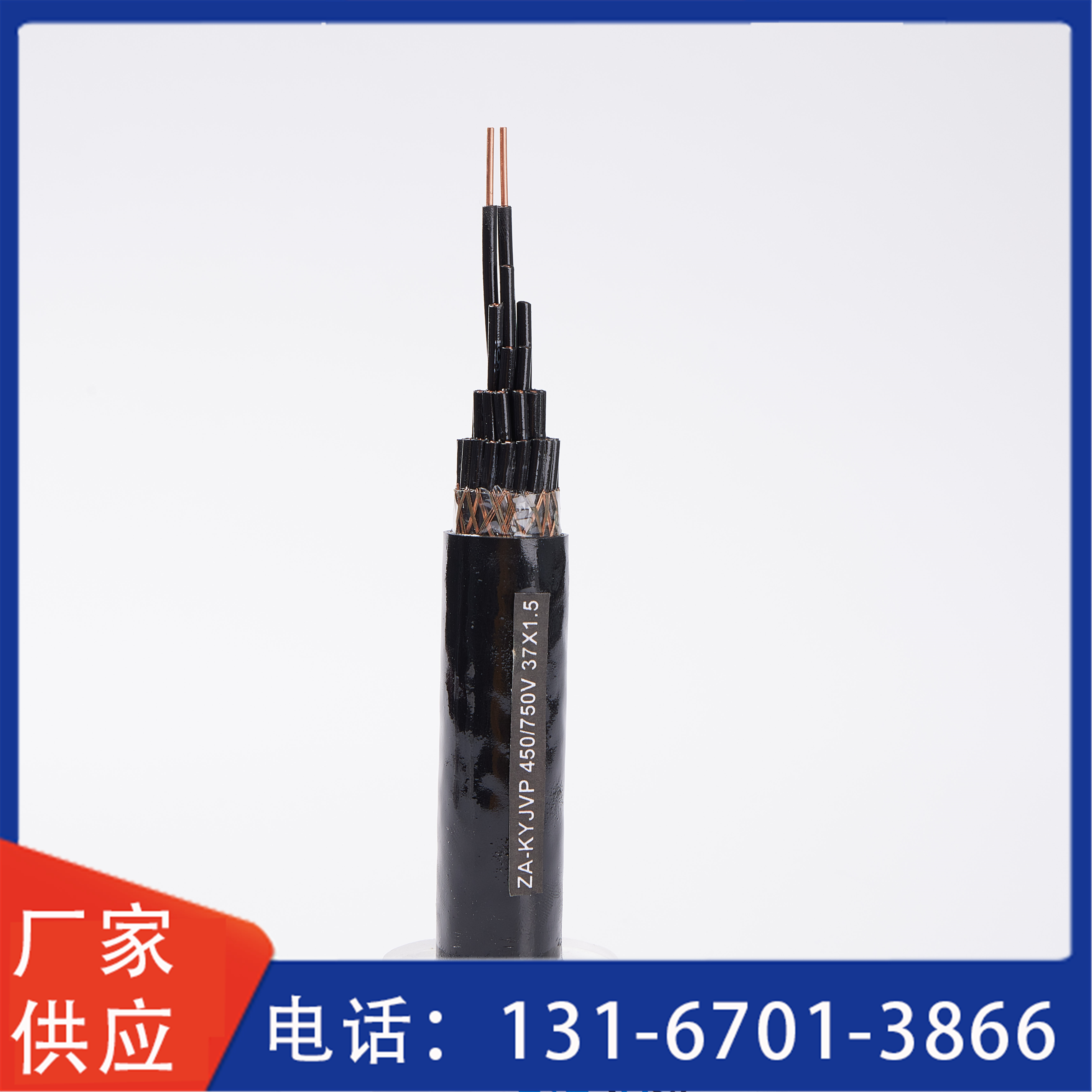 20241129/image/jm346d4os82mirao7kux4.jpg