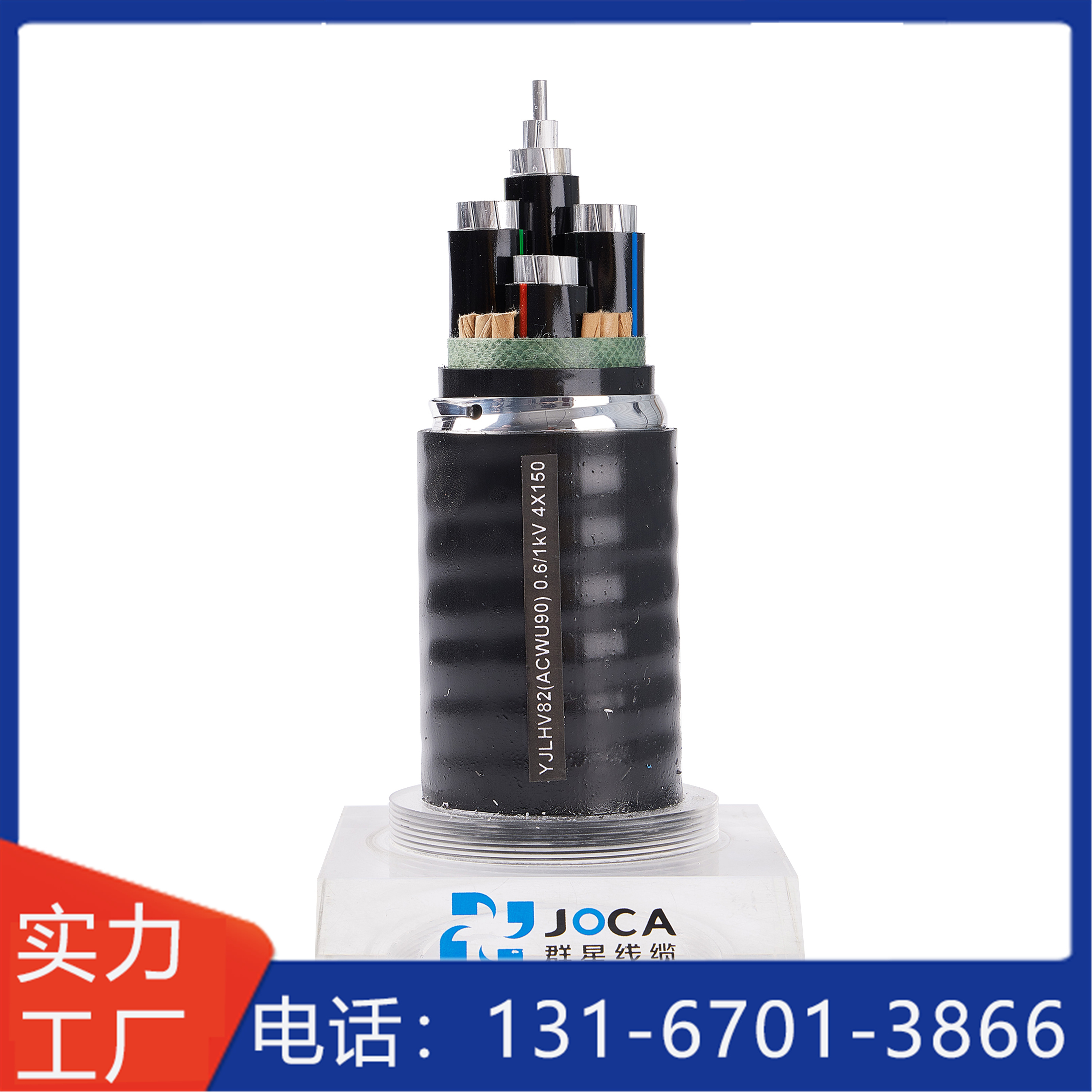20241202/image/7xc00kp06qs7sdze97rzd.jpg